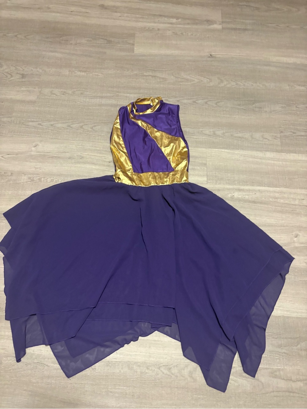 Purple and Gold Sleeveless Chiffon Skater Dress
